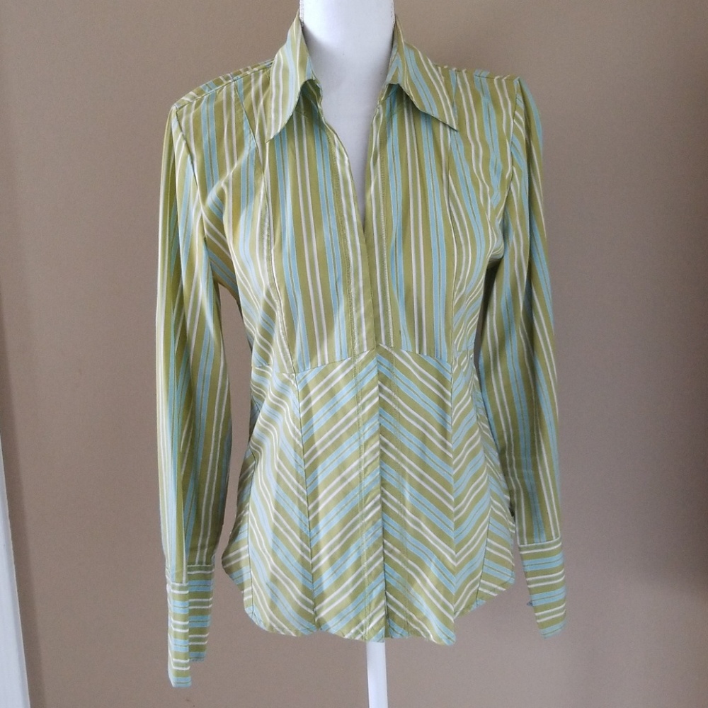 The Limited Stripped Green , Blue, and White Shirt